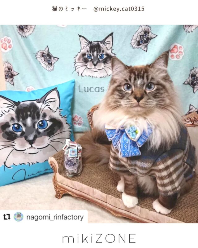 おすまし&おりこう

もはや、ルーカスさんにしか目がいかない
かわいすぎるお写真♡

ラフ画のオーダーをいただき
イラスト書かせて頂きました♪

とってもかわいらしい
もふもふさんで

ママさんのグッズオーダーのセンスも
素敵〜なものばかり！

2枚目のグッズは
よく見るとすべてフォントや
背景の色も違うんですよ♪

かわいいお顔
描かせて頂きまして
ありがとうございます

Repost @nagomi_rinfactory with @use.repost
・・・
ハッピーバレンタイン💝Day🍫
おれまみれでLOVE💗をお届けにゃ😽💕

てか、なんにゃ～🙀💕
このらぶりぃにゃグッズ達はぁ～😹💕

ハイ🖐️
記念すべき初💗バレンタインデーに
ルーカスへの貢ぎ物です😆💕
(ほぼ自分用💨)

ミッキー画伯と肉球様
@mickey.cat0315 デザイン🐾💕
①クッション(水色と濃い水色のリバーシブル)
②ブランケット
③グラス
④夏用のTシャツ🤣💕

色々ワガママを聞いていただき
素敵なデザインのグッズが出来ました💖

ミッキー画伯、肉球様🐾
ありがとうございました🥰

首元はねこすきや様
@nekosukiya チョーカー🎀
コートはSHEIN様
@shein_japan 青チェックコート
グラスの中にはDECOチョコ🍫
@decochoco_official 
DECOチョコはマノロ様
@manolo_room  デザイン🌼
ソファはカインズホーム様
@cainz_official 爪とぎ

みにゃさま
素敵にゃバレンタイン💝Day🍫を過ごしてにゃ～ん😻💕

#kaorinサポーター
#ねころりんニャンバサダー
#ララレスキュー隊06
#ねこすきや
#ねこすきやのチョーカー
#かわいく着用して保護猫支援につなげよう
#推し猫グランプリ
#日本猫ねこ協会
#ネコ企画
#nekoclub
#nyancon01
#ねこのきもち
#だから猫ってたまらない
#ペコねこ部
#ペトロフ
#ペトロフメロメロ
#楽天にゃんにゃんWEEK
#rakutenpet
#PETEMO#ペットライド写真部
#ペットスマイル#今日のペッ友
#メイクにゃーと#peppyフォト部#猫カレンダー2024参加したい#もふあつめ展に参加希望#にゃんすたぐらむ#猫好きさんと繋がりたい#ラグドール#neko_stagram_jp